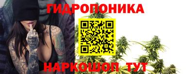 тгк Краснодар
