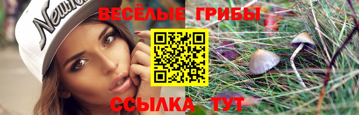 Киров  Галлюциногенные грибы мухоморы  Вход с VPN 